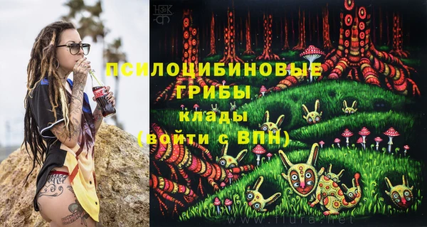 прущая мука Кукмор
