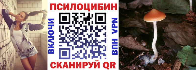Галлюциногенные грибы Magic Shrooms  гидра онион  Юрьевец  купить наркотик 